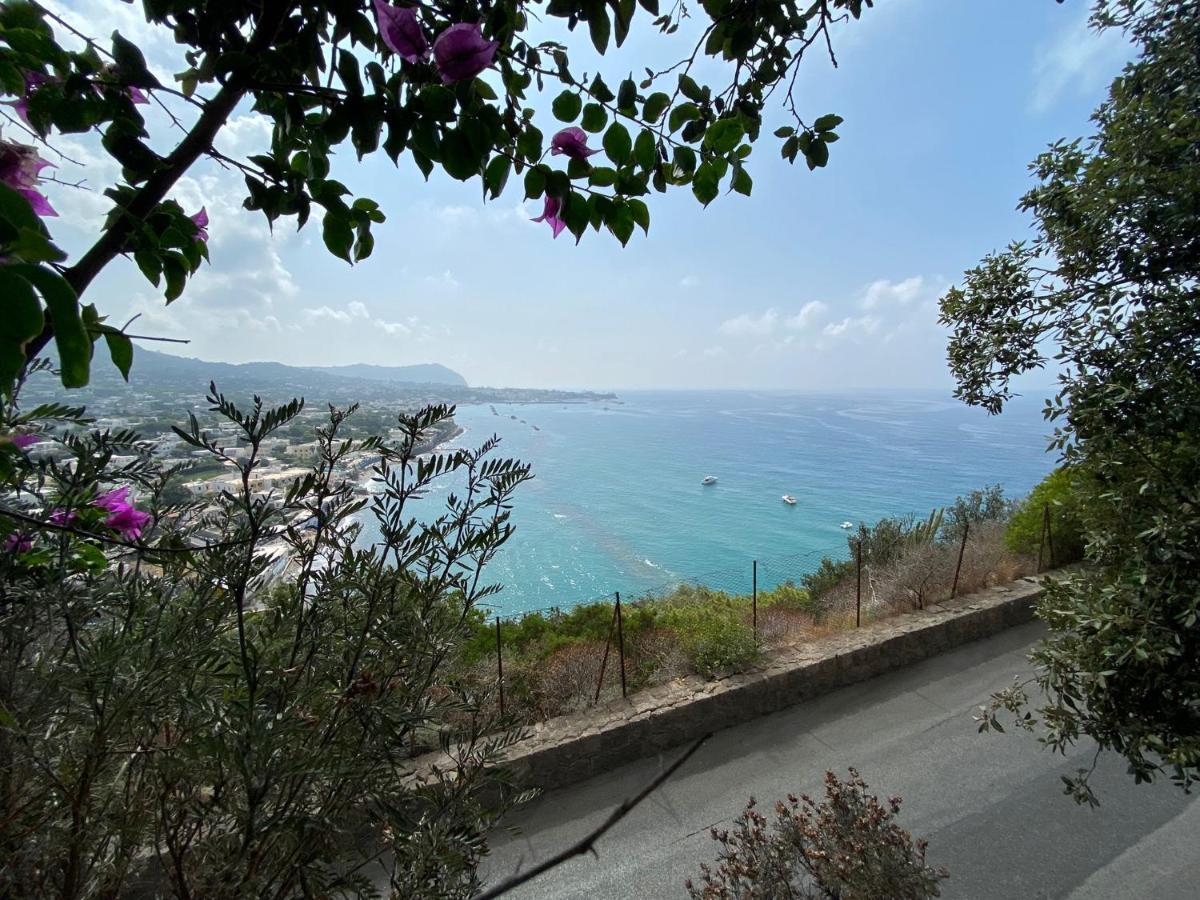 Le Dimore Di Zaro - Green Paradise Forio  Exterior photo