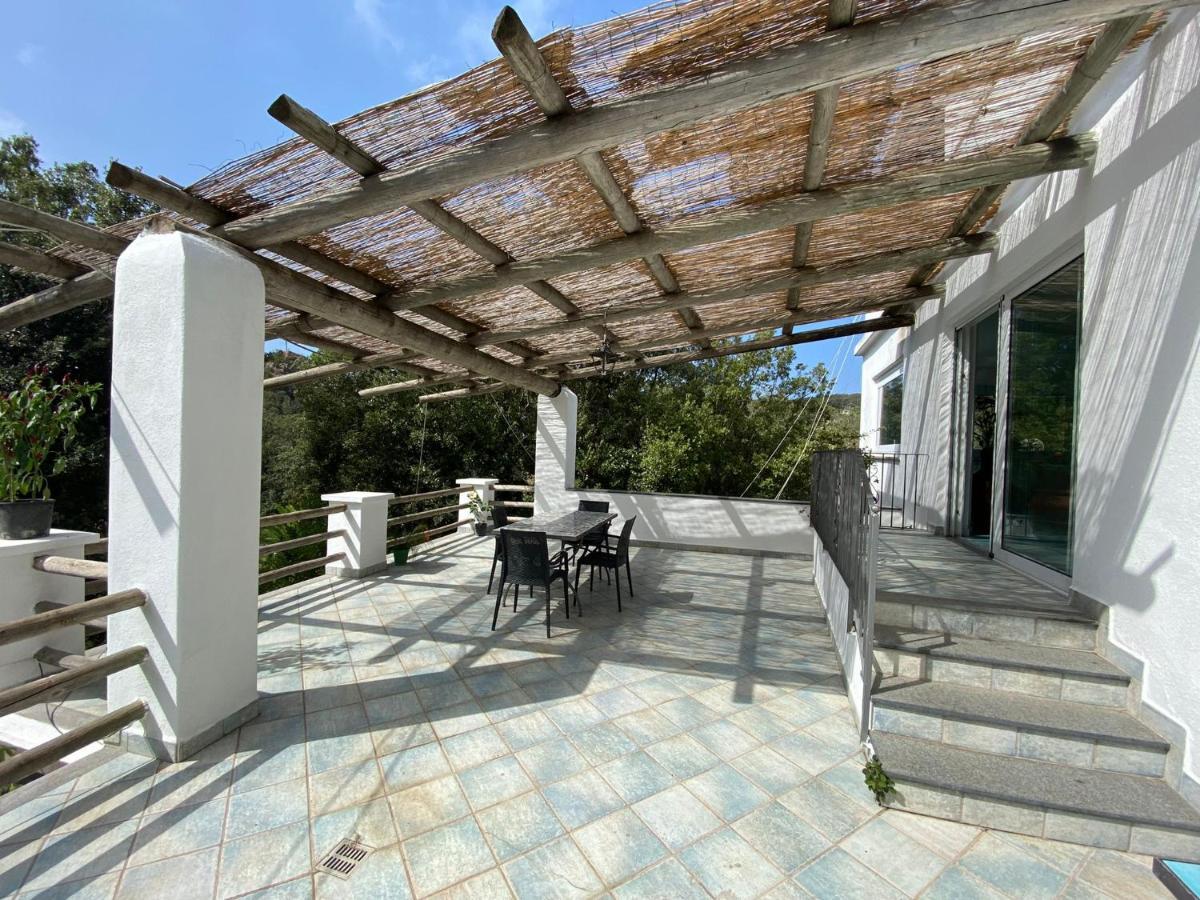 Le Dimore Di Zaro - Green Paradise Forio  Exterior photo