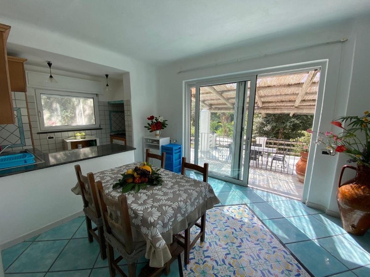 Le Dimore Di Zaro - Green Paradise Forio  Exterior photo