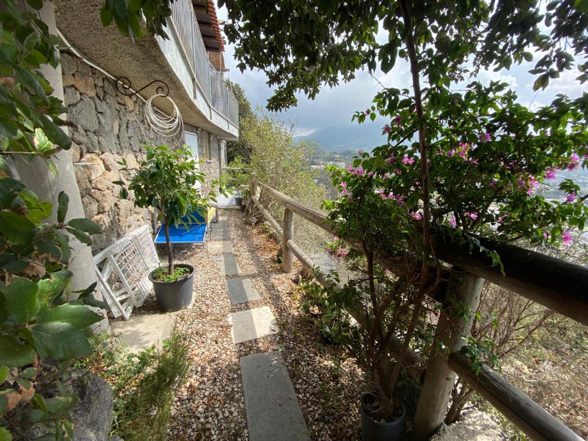 Le Dimore Di Zaro - Green Paradise Forio  Exterior photo